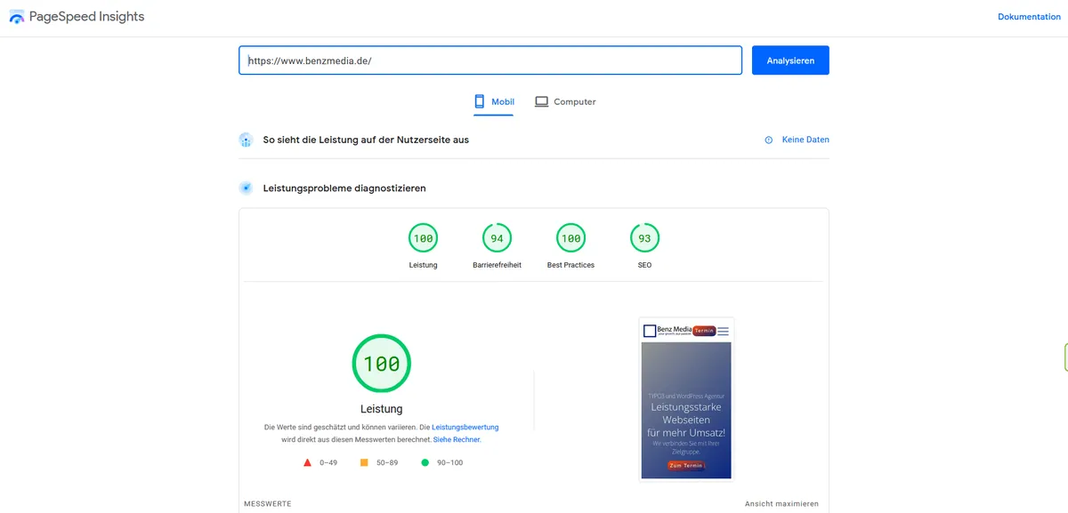 Website-Messwerte in Google PageSpeed Insights