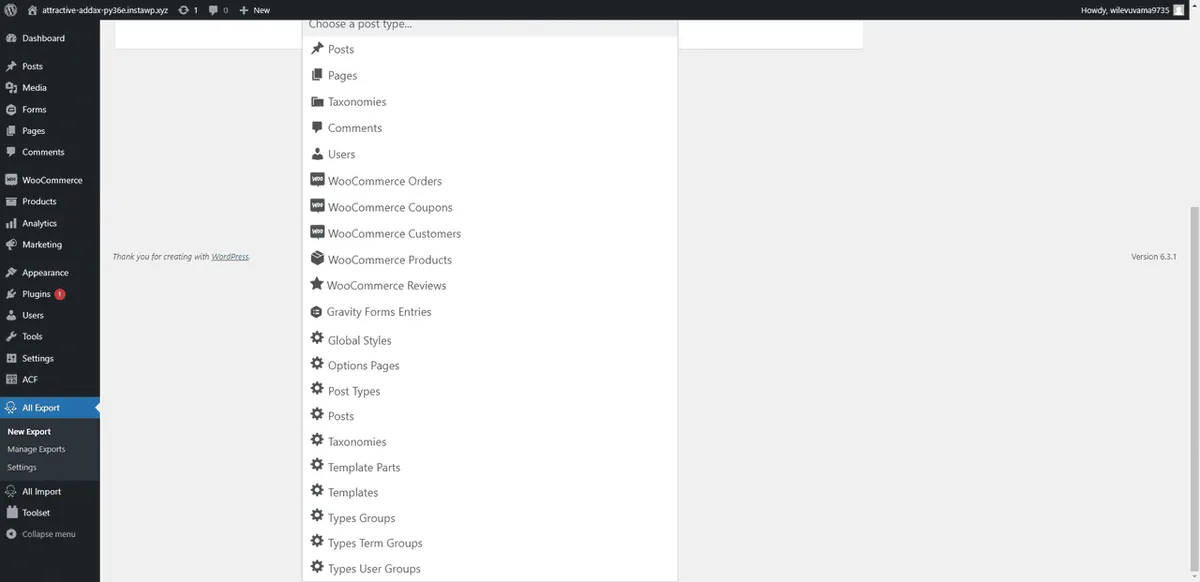 Die umfangreichen Exportmöglichkeiten von WP ALL IMPORT.