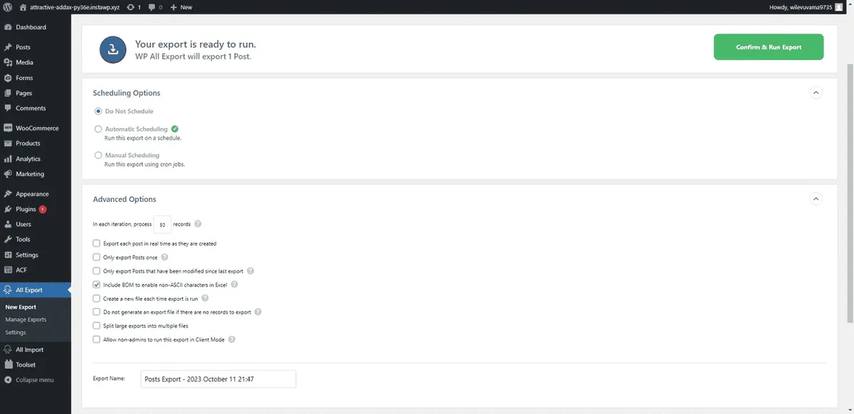 WP ALL IMPORT Konfigurationsmöglichkeiten vor dem Export.
